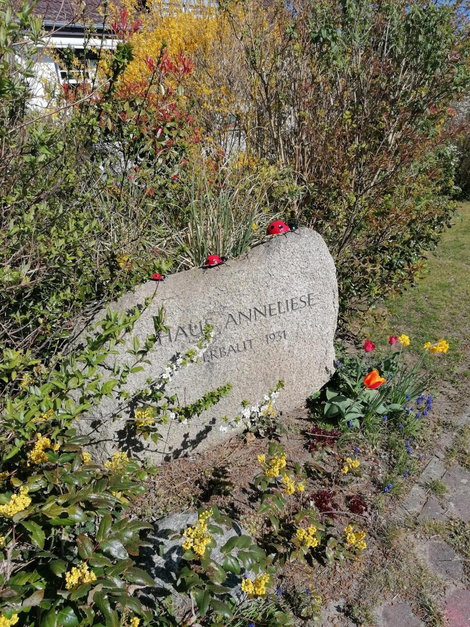 Pension Haus Anneliese อึคเคอริทซ์ ภายนอก รูปภาพ